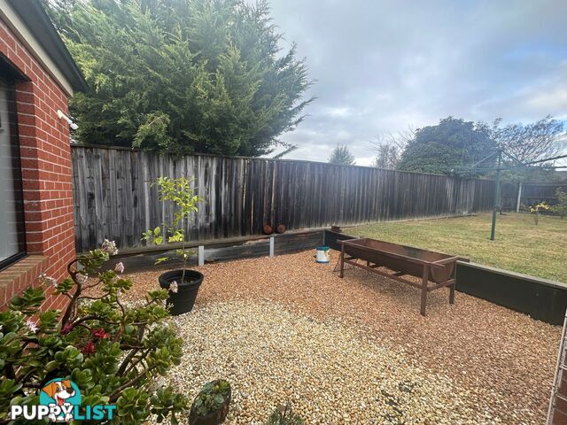 14B Len Cook Drive EASTWOOD VIC 3875