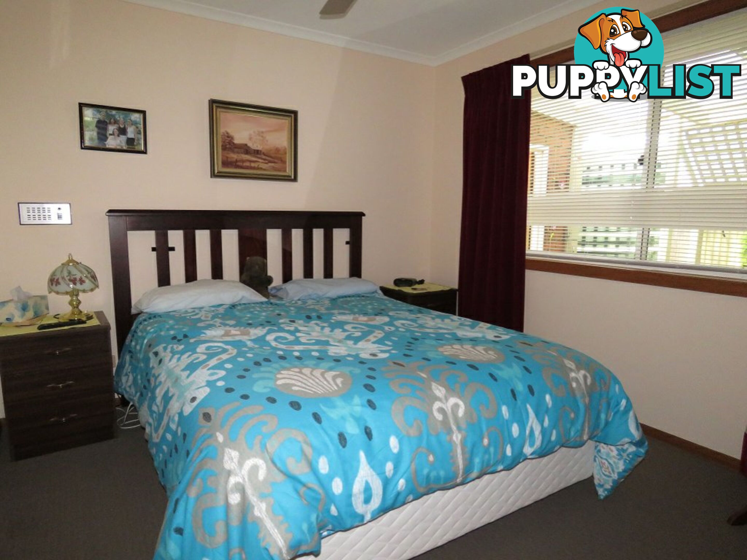 1/30 Queen Street PAYNESVILLE VIC 3880