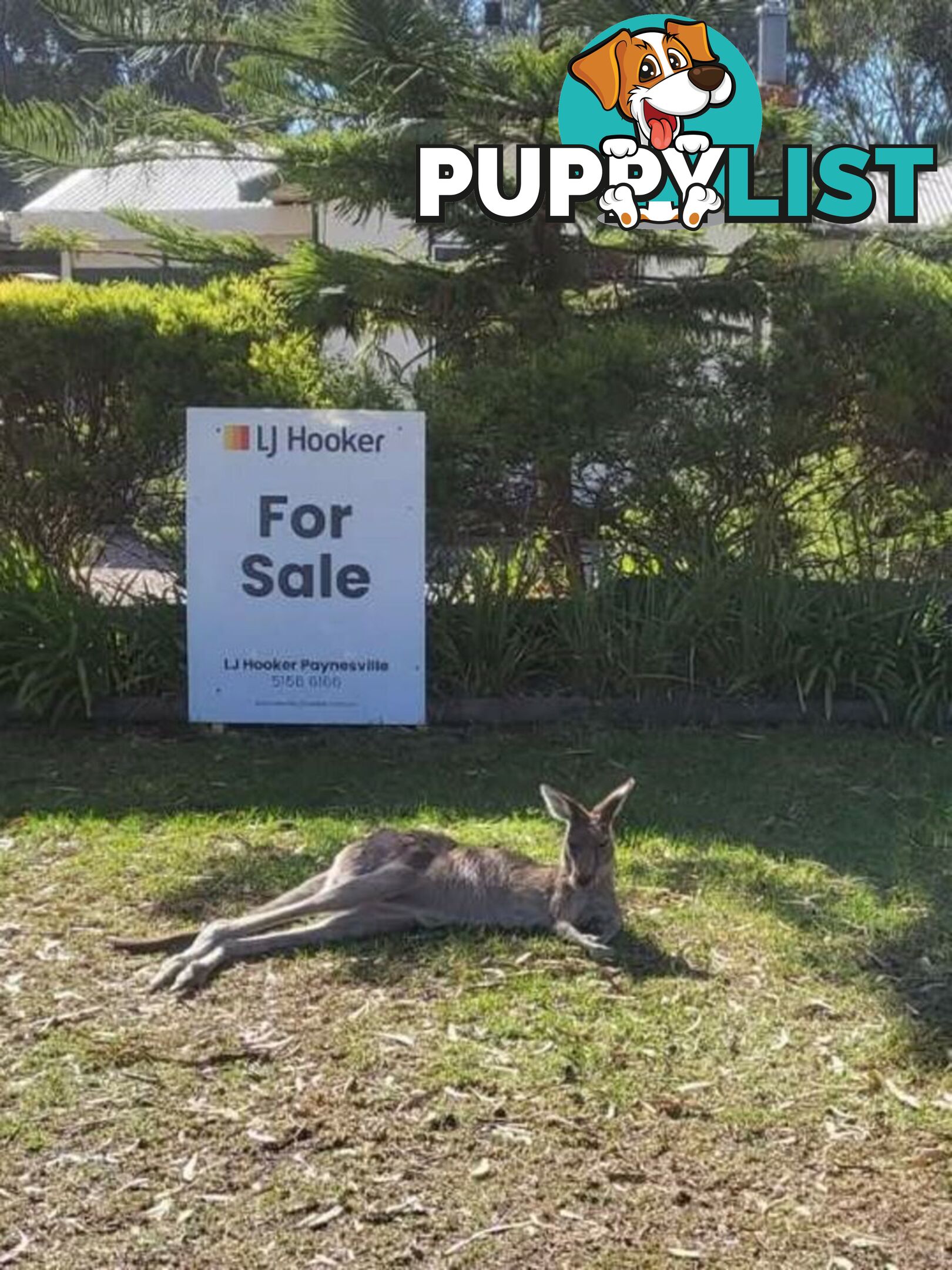 51 Sixth Avenue RAYMOND ISLAND VIC 3880