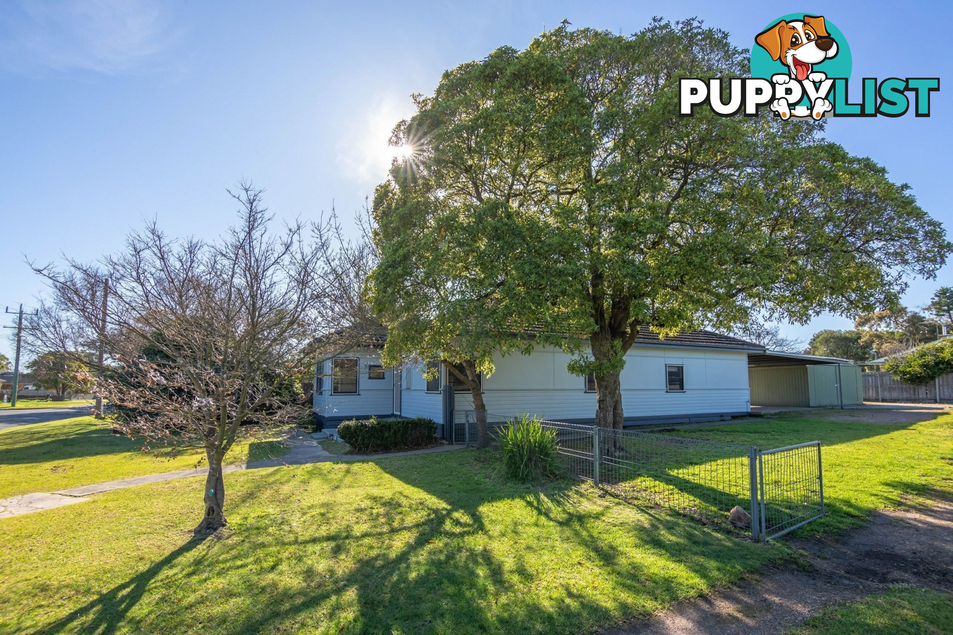 16 Reynolds Street PAYNESVILLE VIC 3880