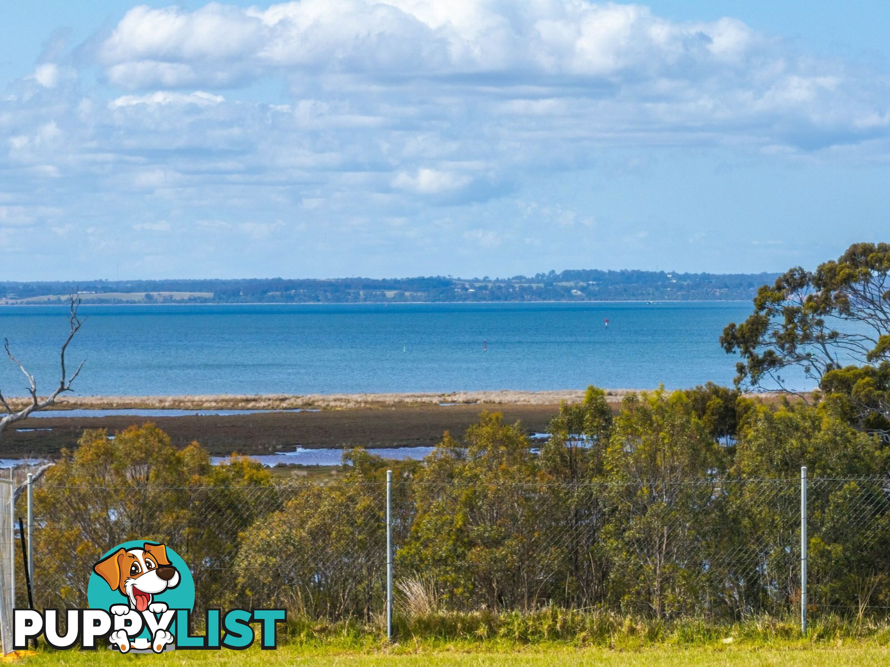 16 Eagle Bay Terrace PAYNESVILLE VIC 3880