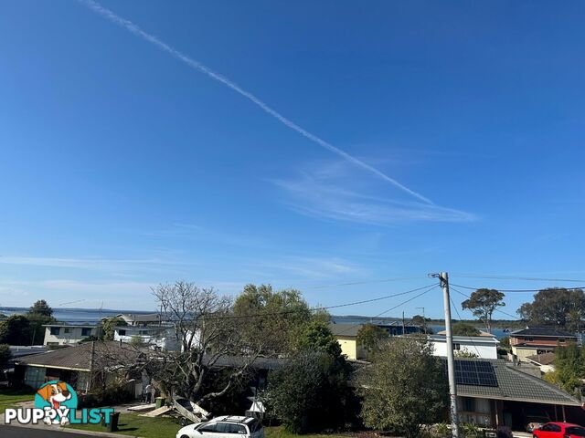 2/24 McMillan Grove PAYNESVILLE VIC 3880