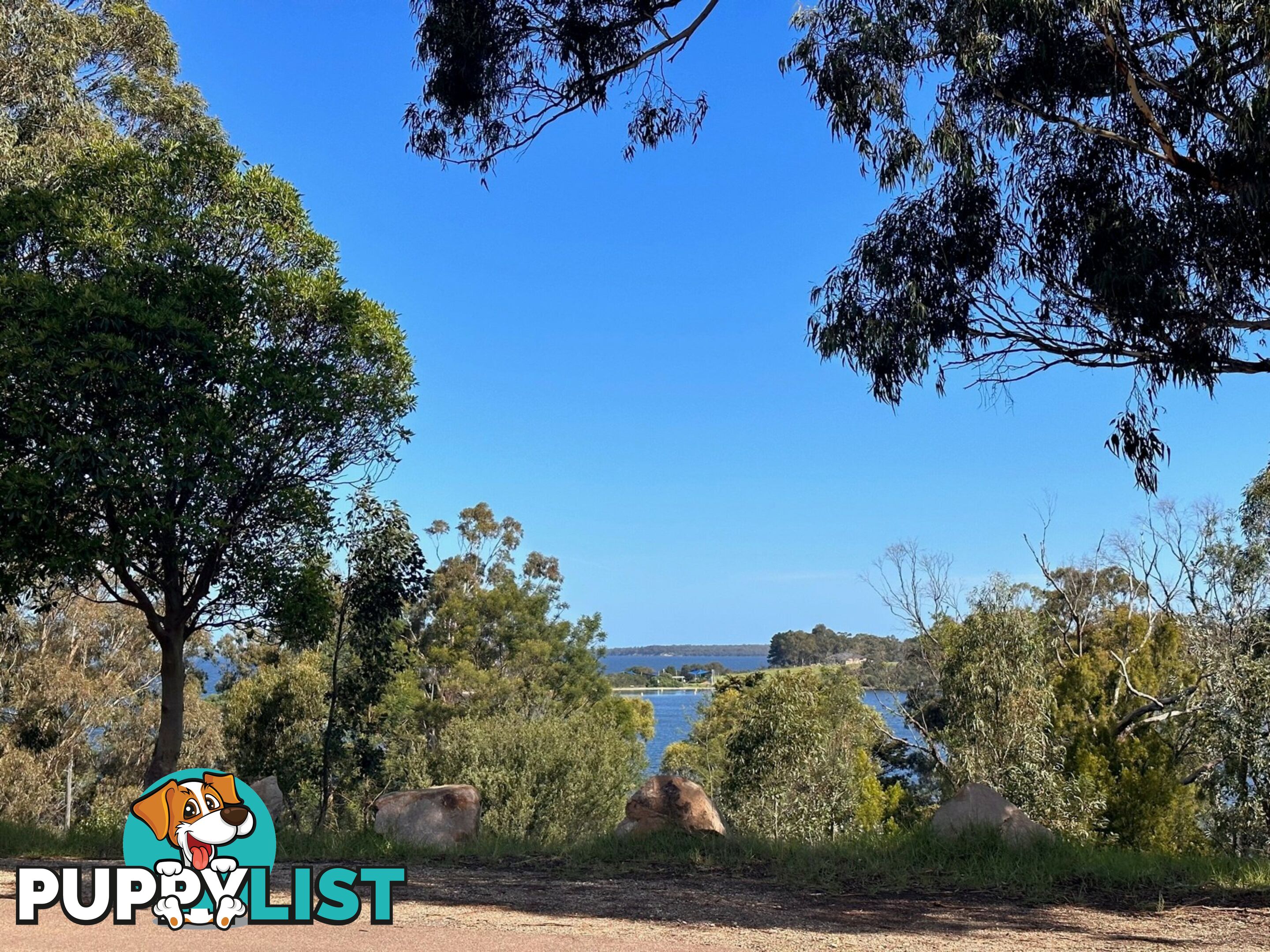 50 Newlands Drive PAYNESVILLE VIC 3880