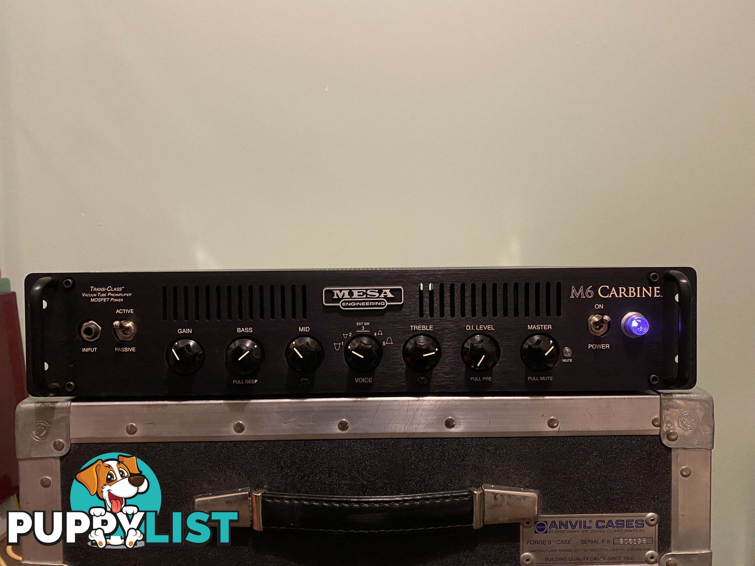 Mesa Boogie Amplifier’s