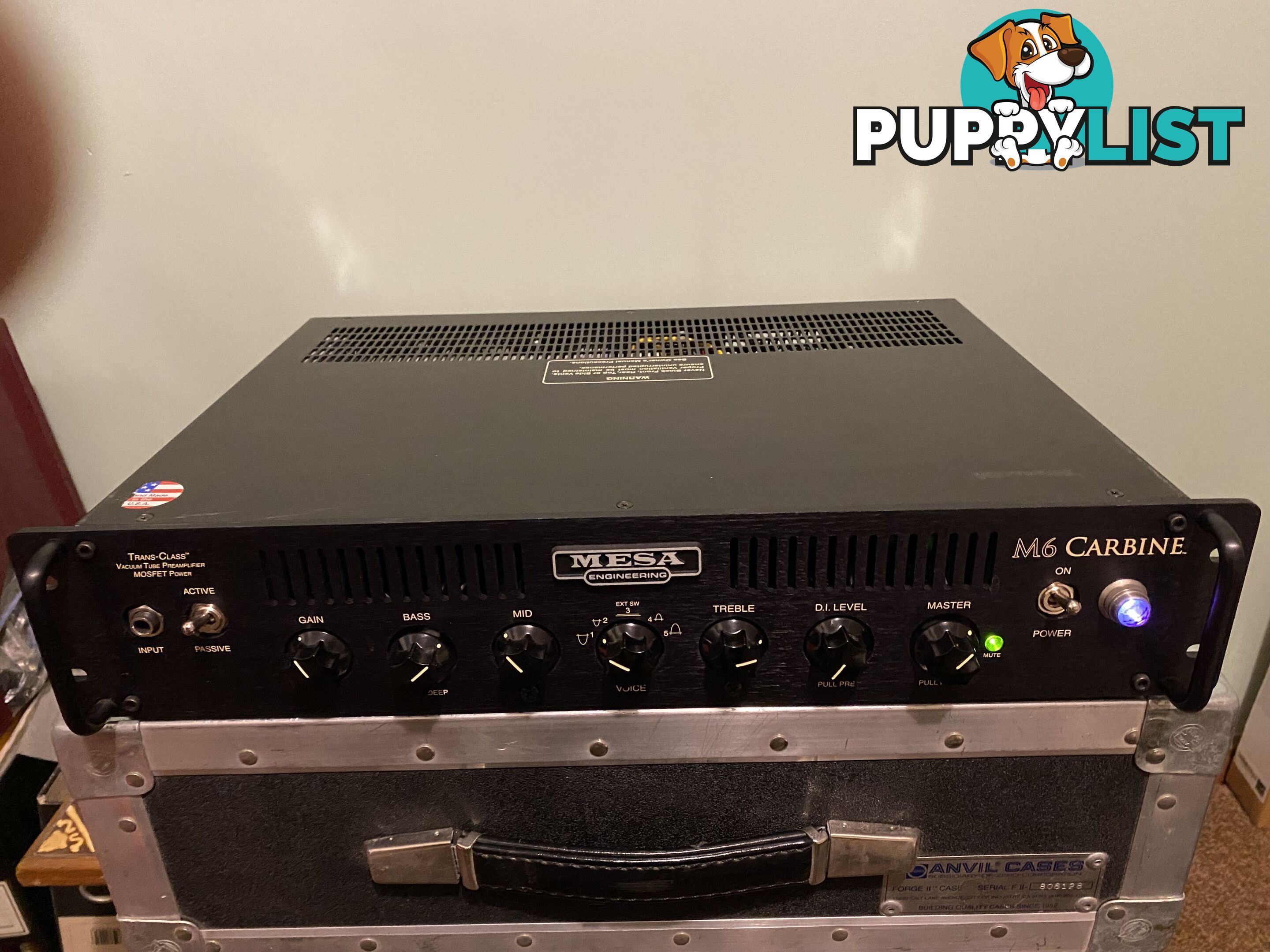 Mesa Boogie Amplifier’s