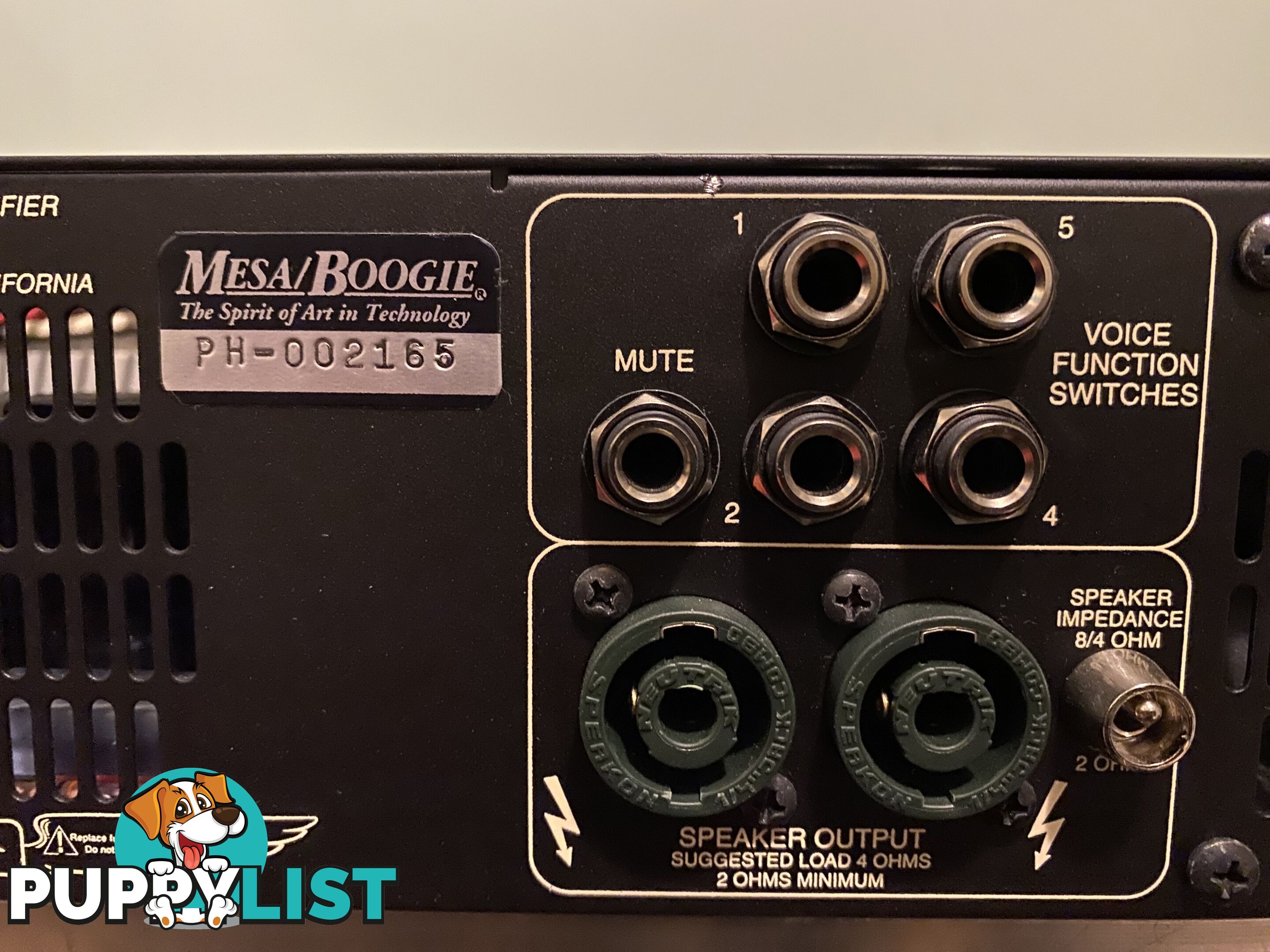 Mesa Boogie Amplifier’s