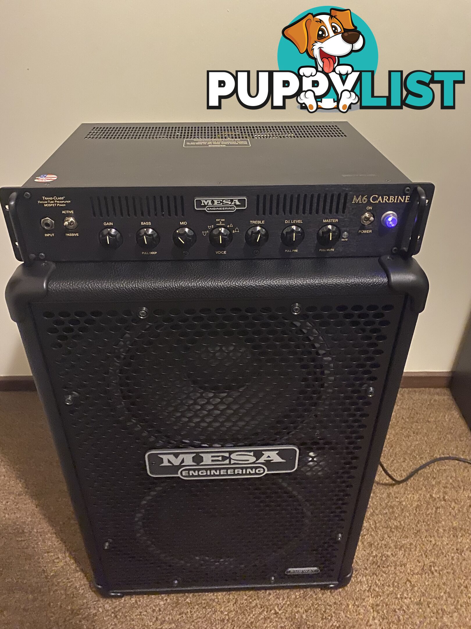 Mesa Boogie M6Carbine/2x12 Cab