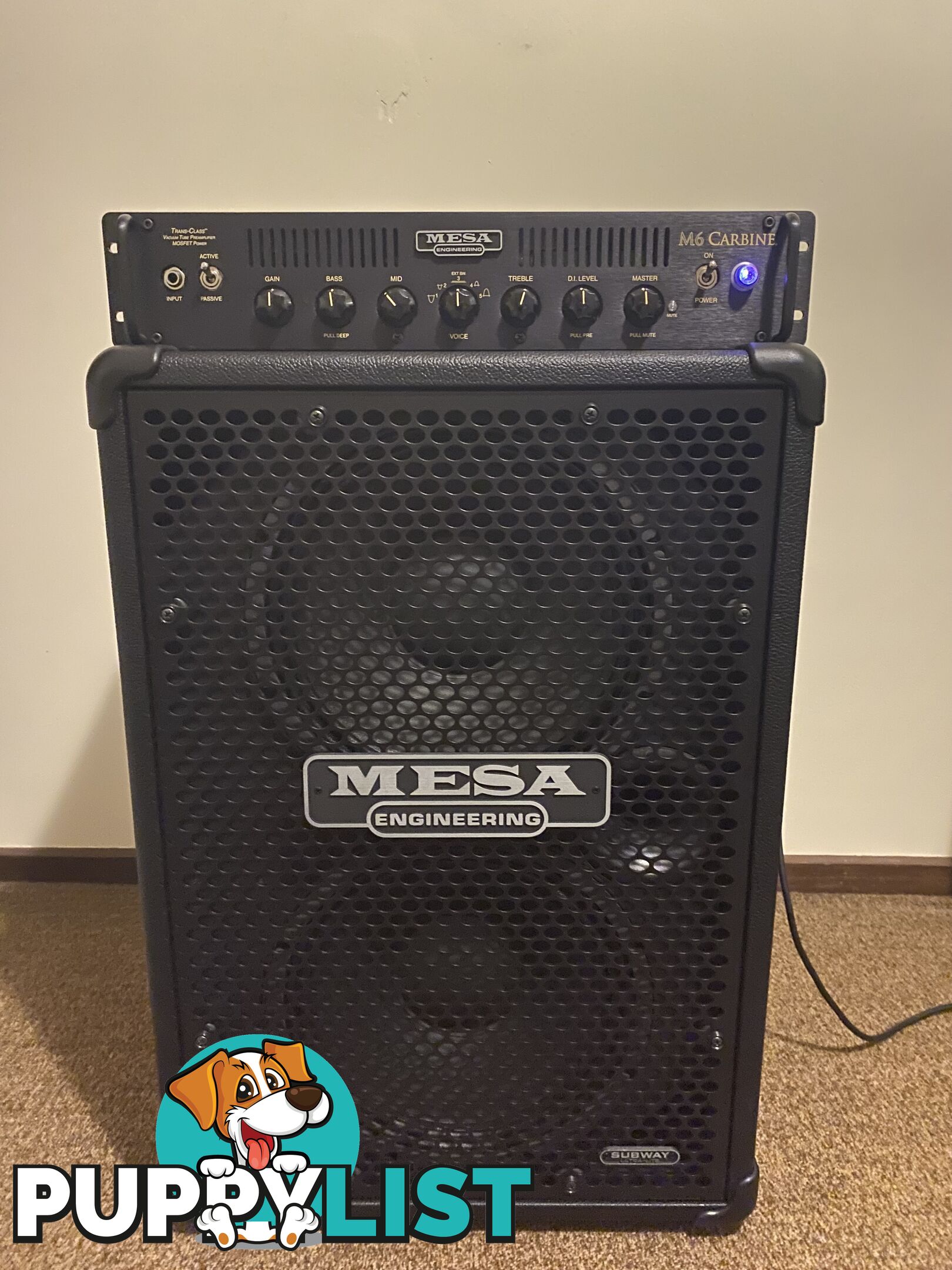 Mesa Boogie M6Carbine/2x12 Cab