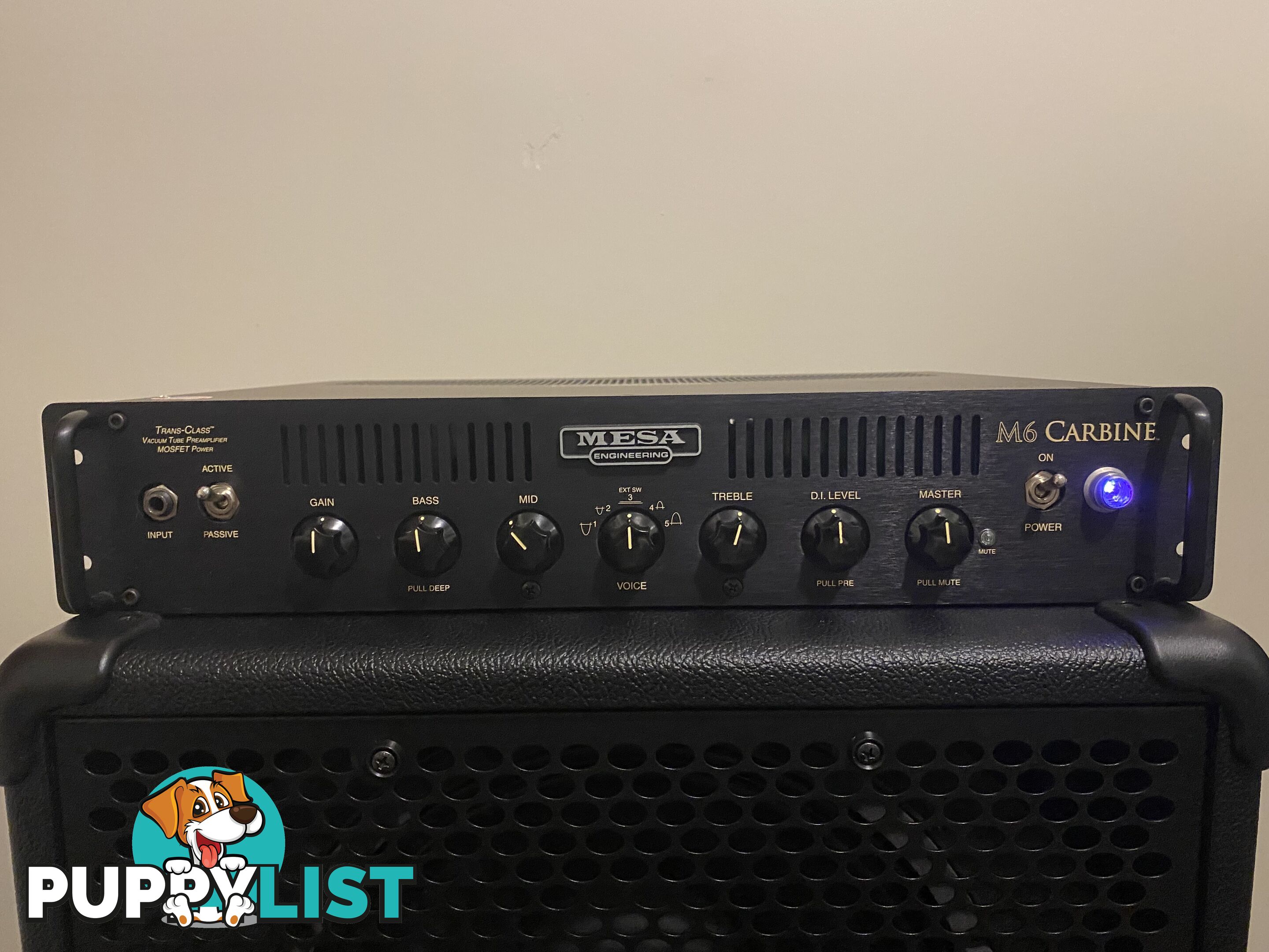 Mesa Boogie M6Carbine/2x12 Cab