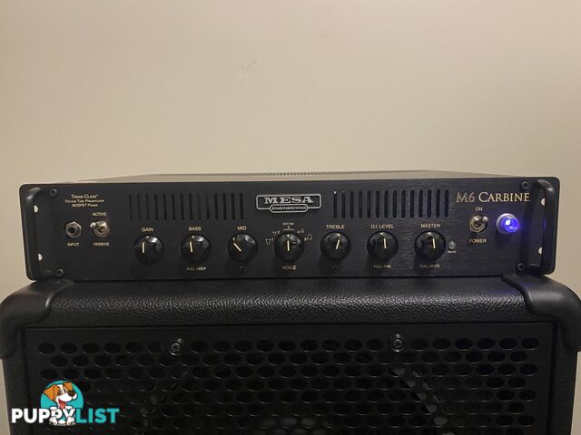 Mesa Boogie M6Carbine/2x12 Cab