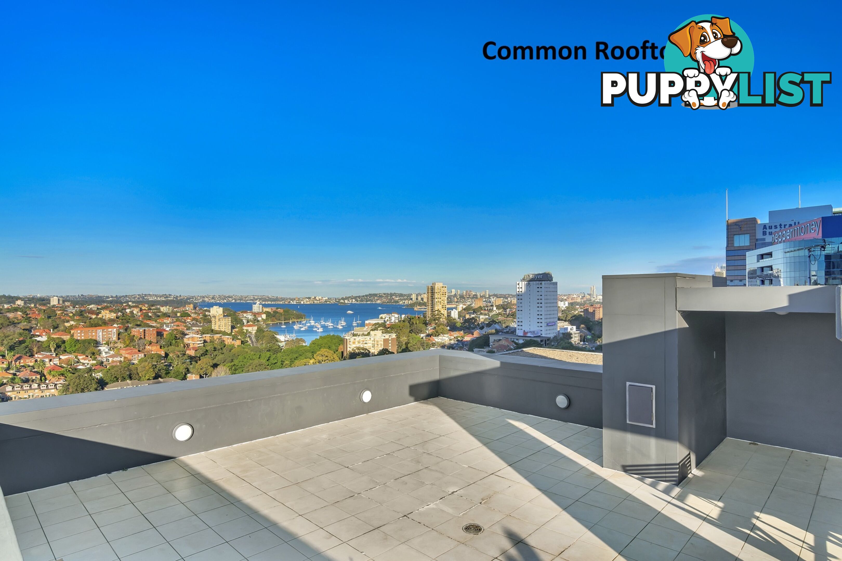 310/88 Berry Street NORTH SYDNEY NSW 2060