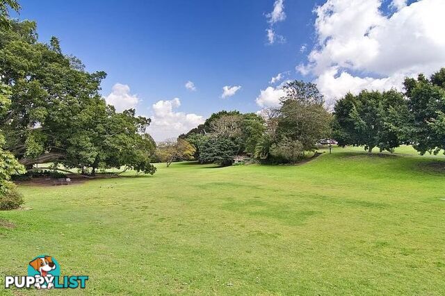 11/39-41 Shirley Road WOLLSTONECRAFT NSW 2065