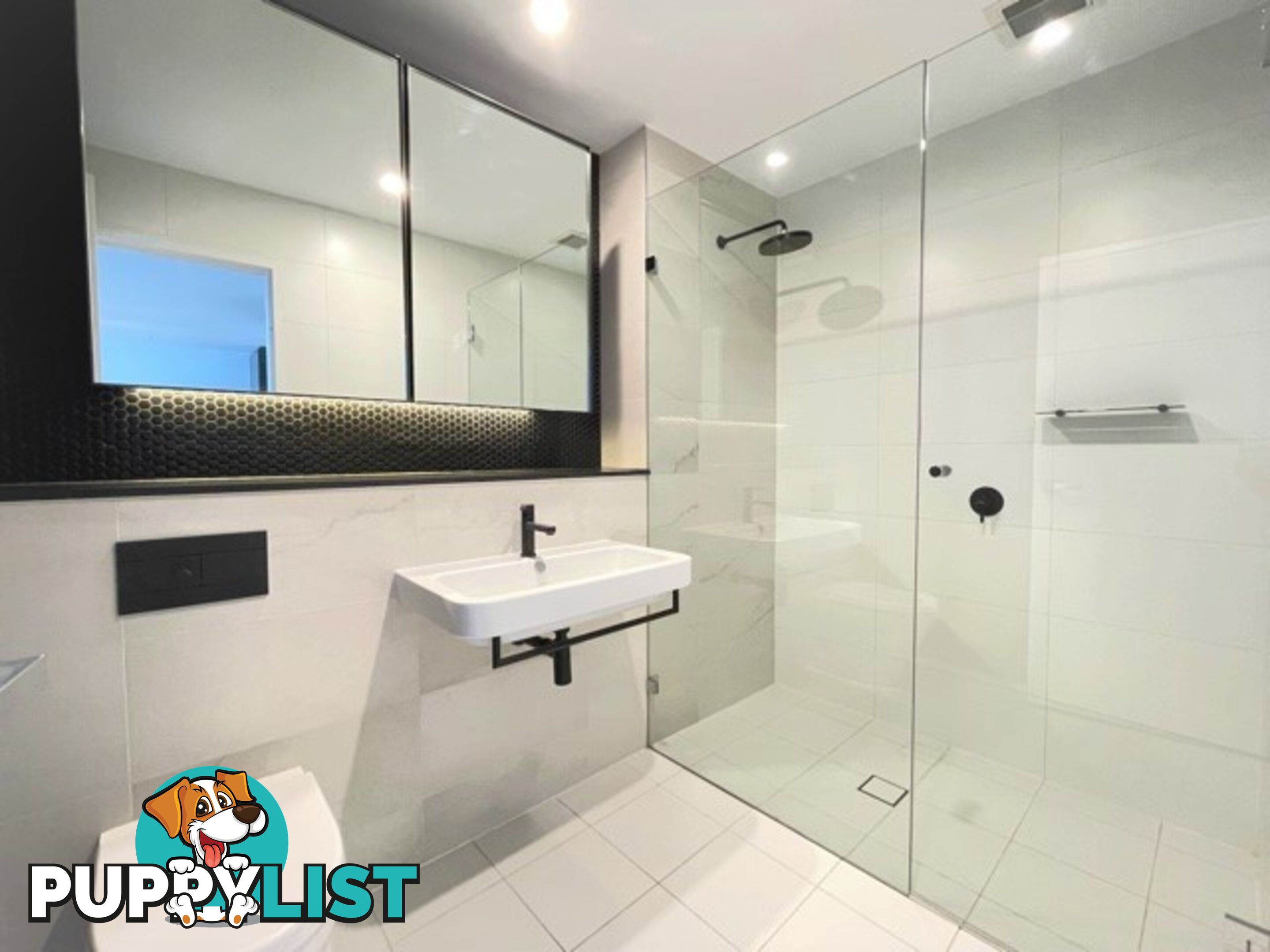 609/19-23 Marshall Avenue ST LEONARDS NSW 2065