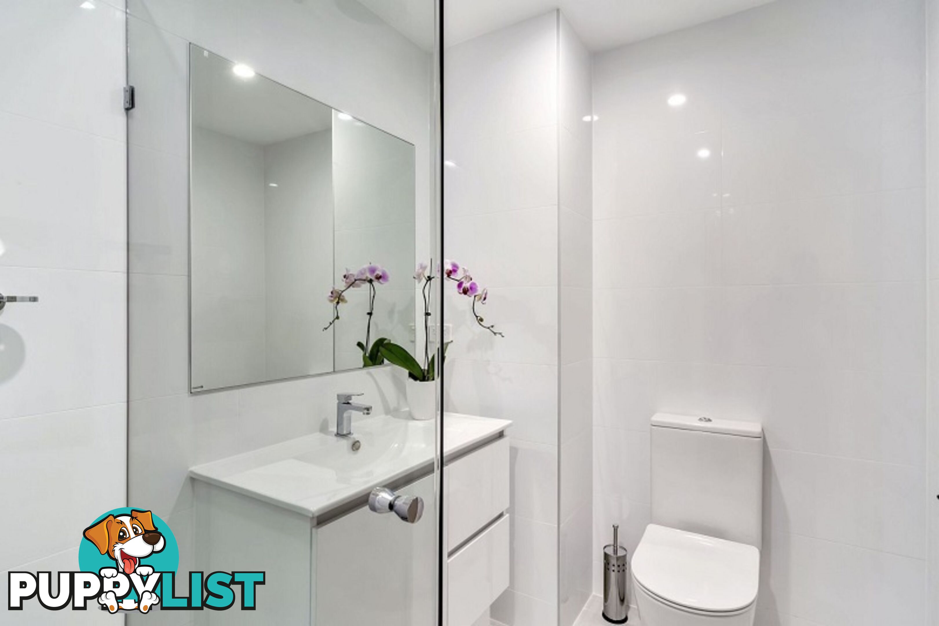 48 Albany Street ST LEONARDS NSW 2065