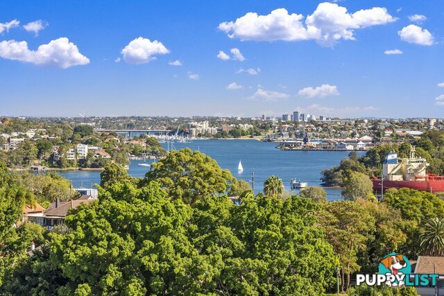 5/10 Carr Street WAVERTON NSW 2060