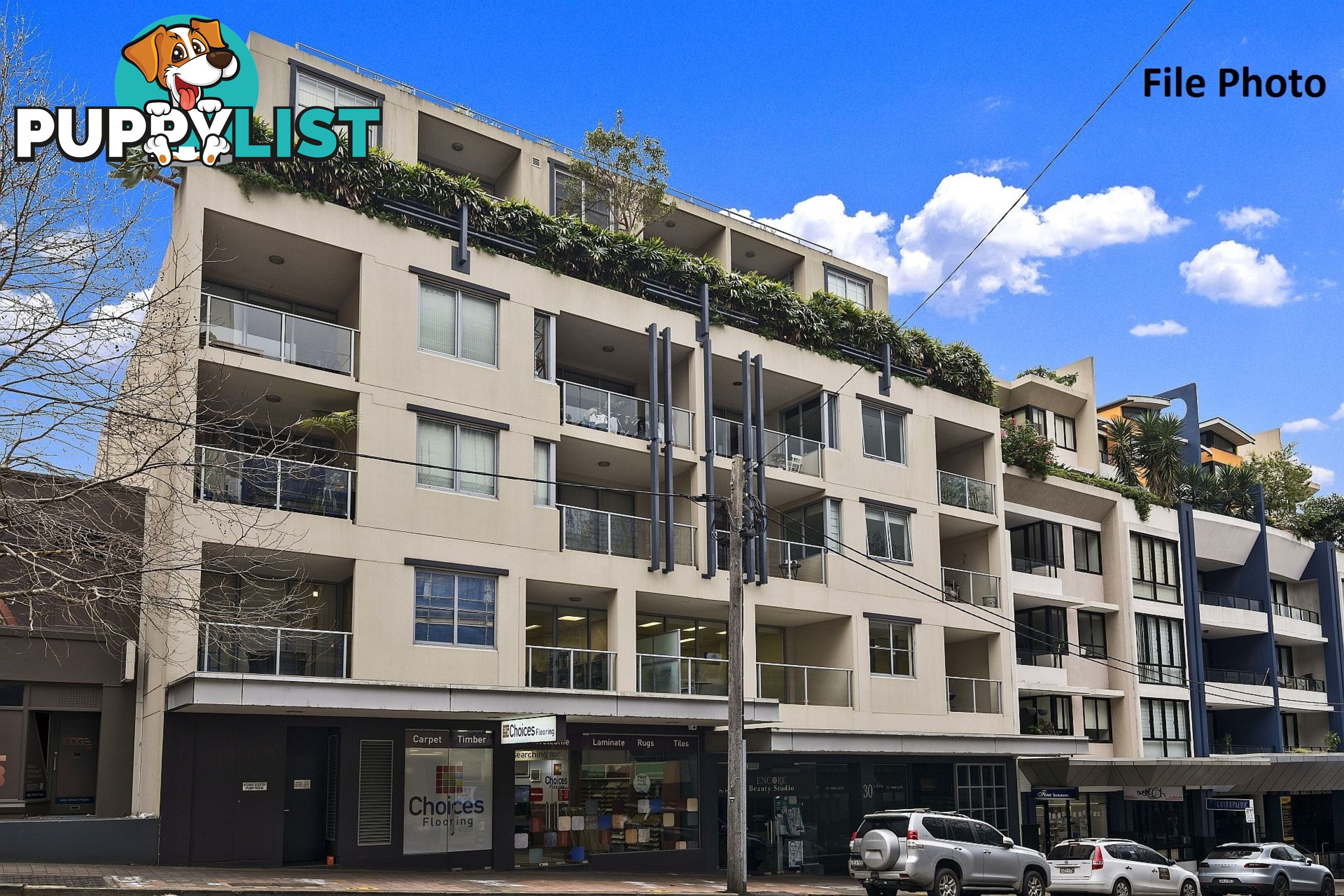 31/30-36 Albany Street ST LEONARDS NSW 2065