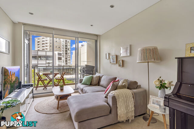 31/30-36 Albany Street ST LEONARDS NSW 2065