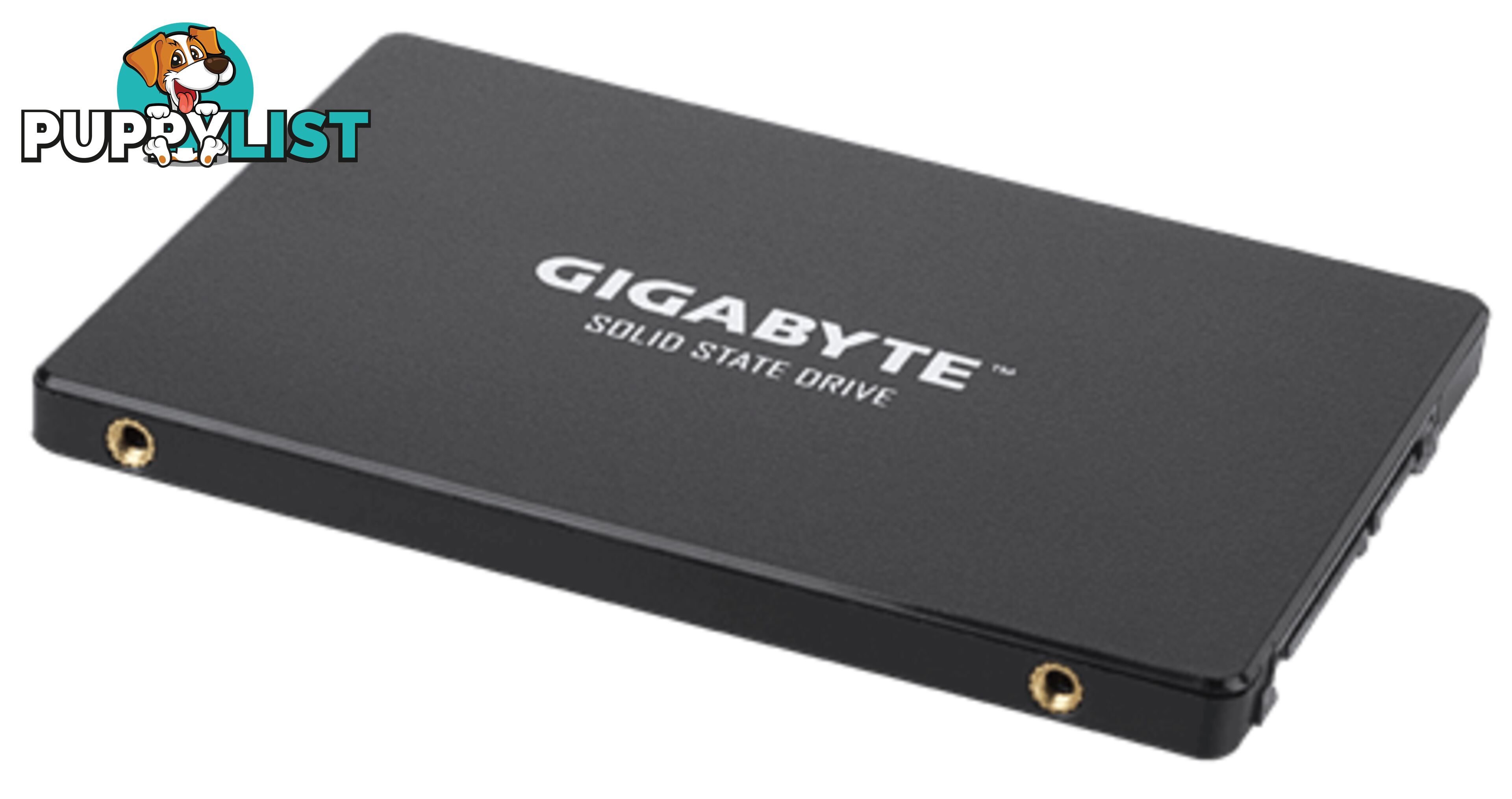 1TB Gigabyte GP-GSTFS31100TNTD SSD