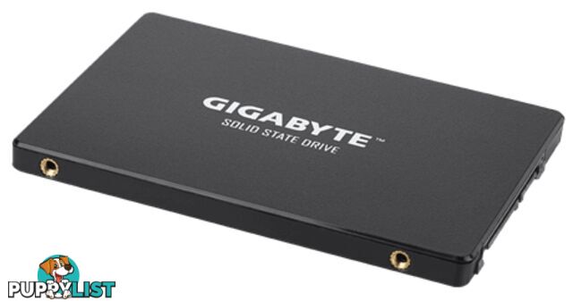 1TB Gigabyte GP-GSTFS31100TNTD SSD