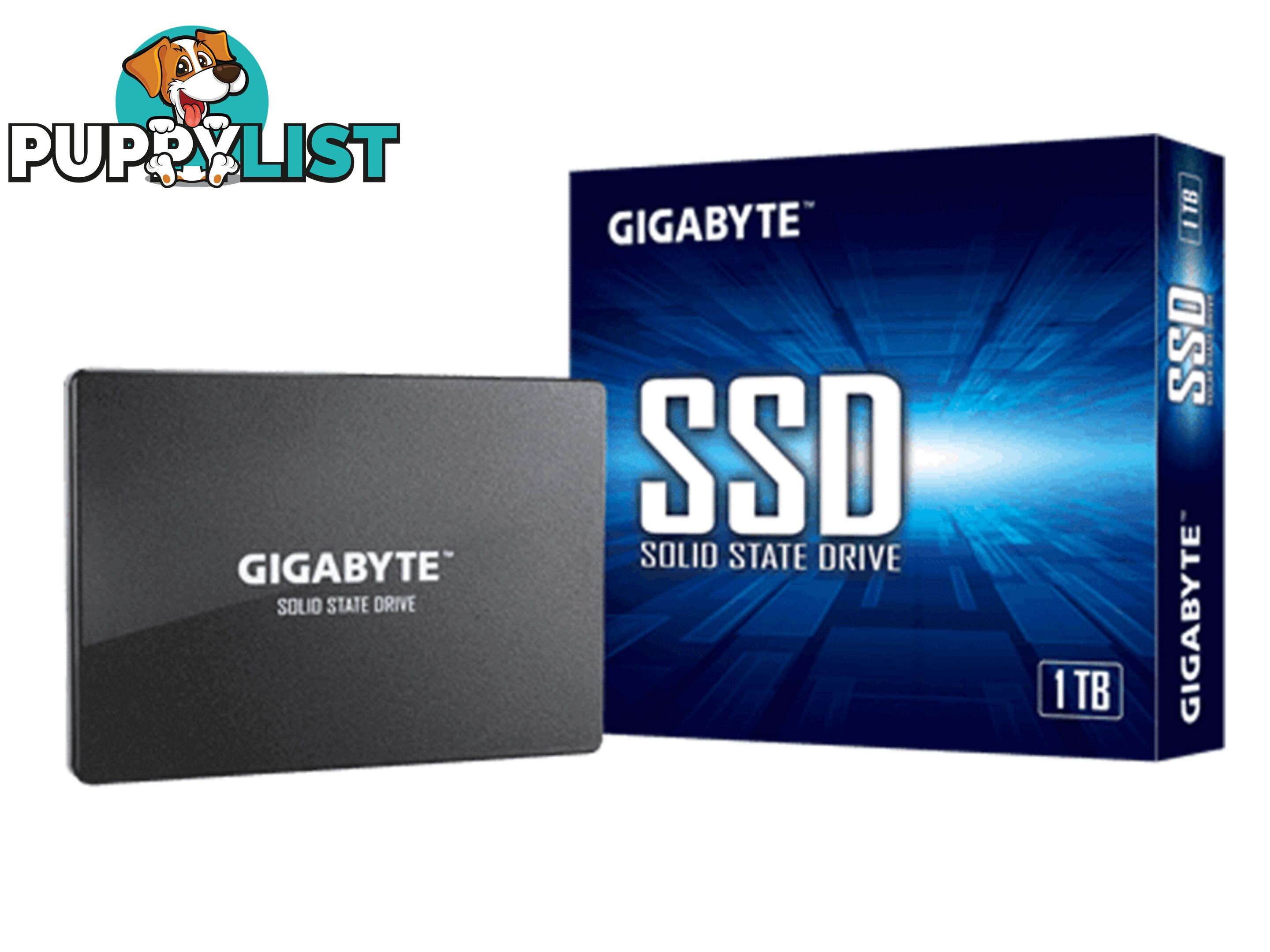 1TB Gigabyte GP-GSTFS31100TNTD SSD