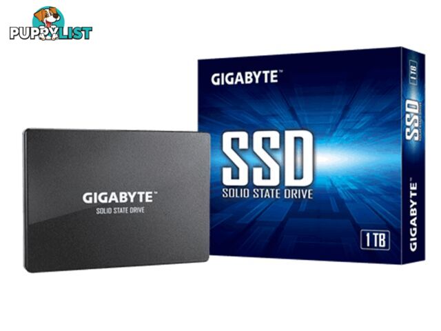 1TB Gigabyte GP-GSTFS31100TNTD SSD