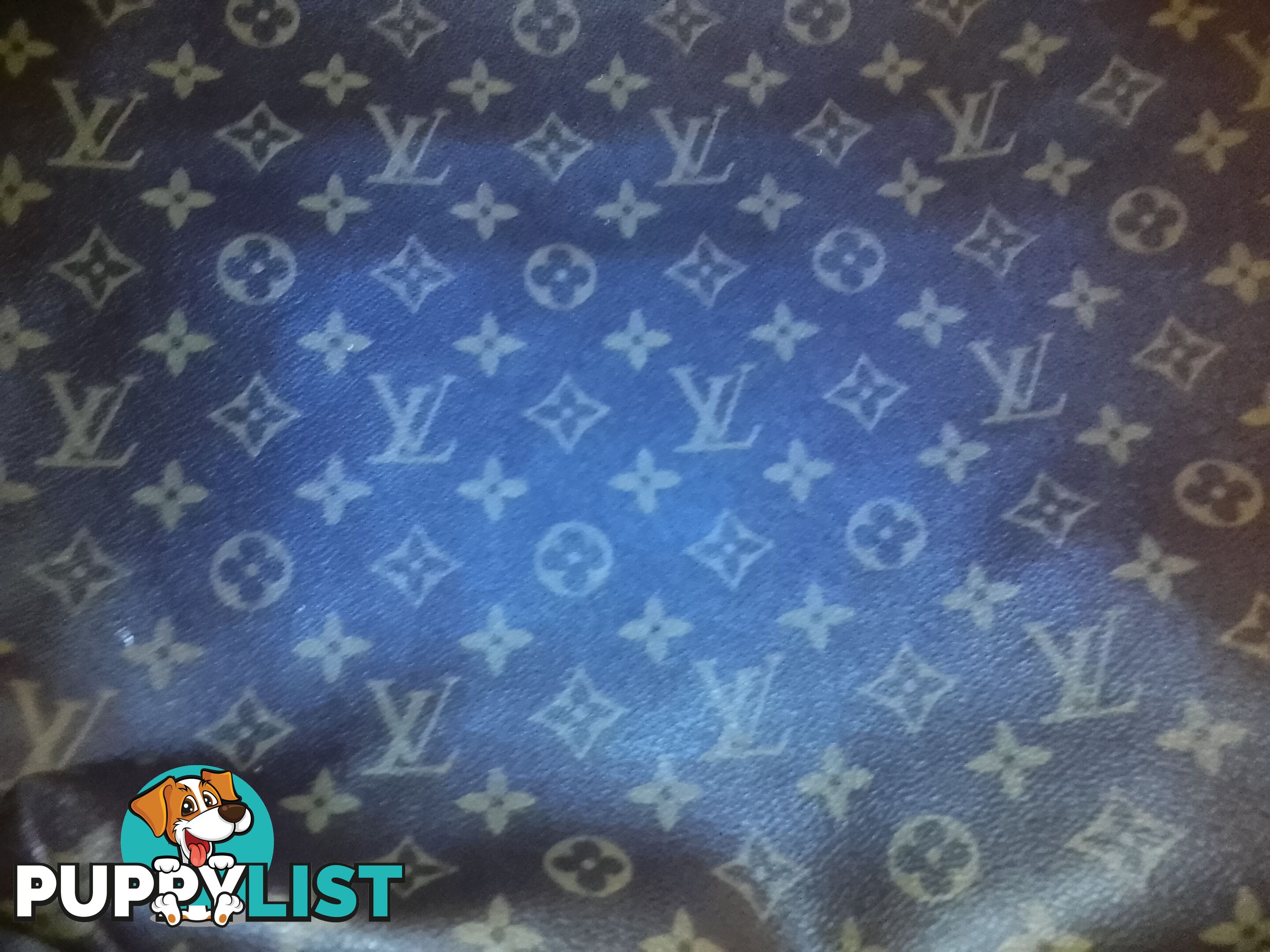 Genuine lui Vuitton clutch bag