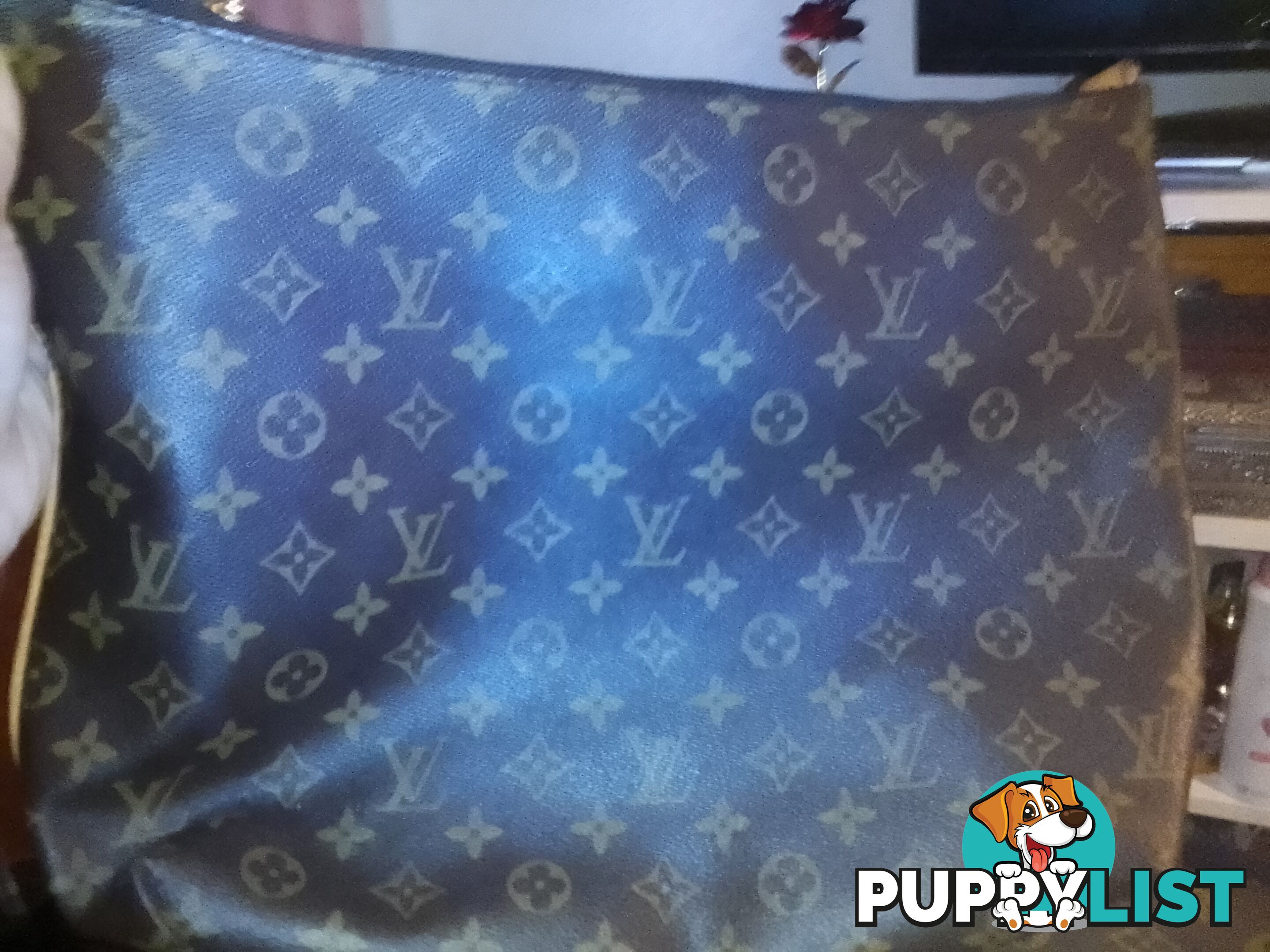 Genuine lui Vuitton clutch bag