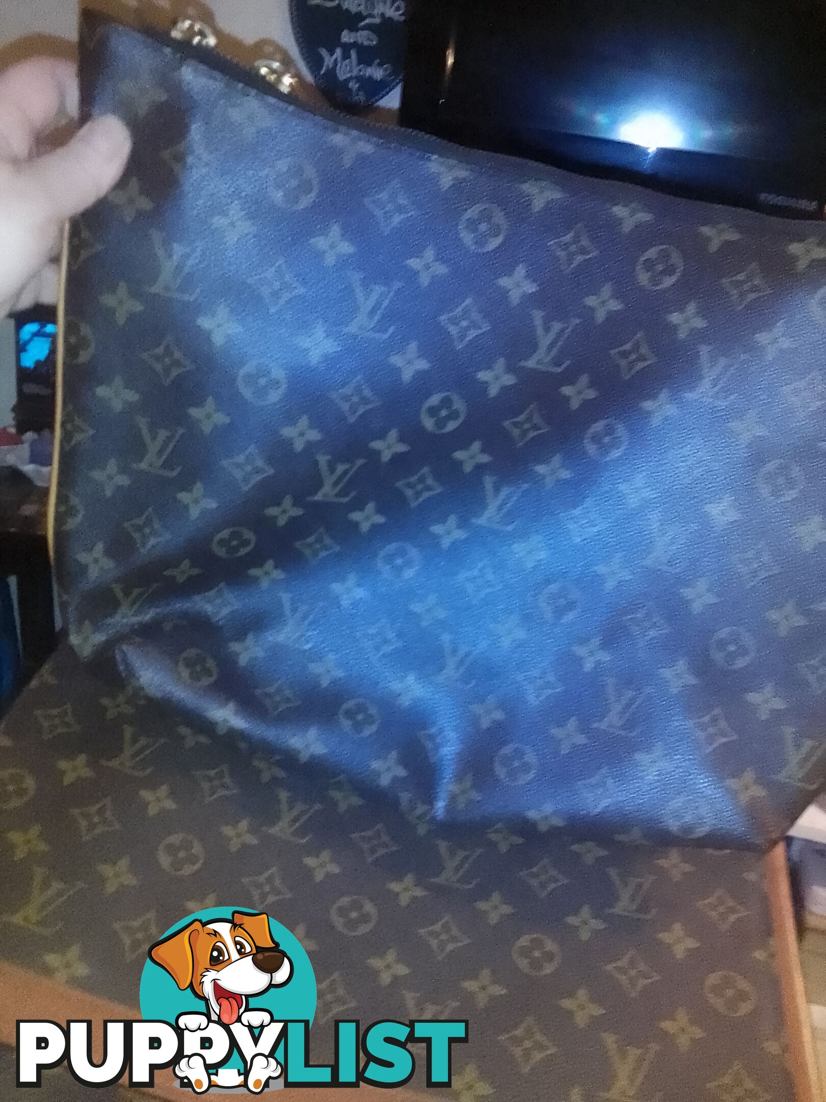 Genuine lui Vuitton clutch bag