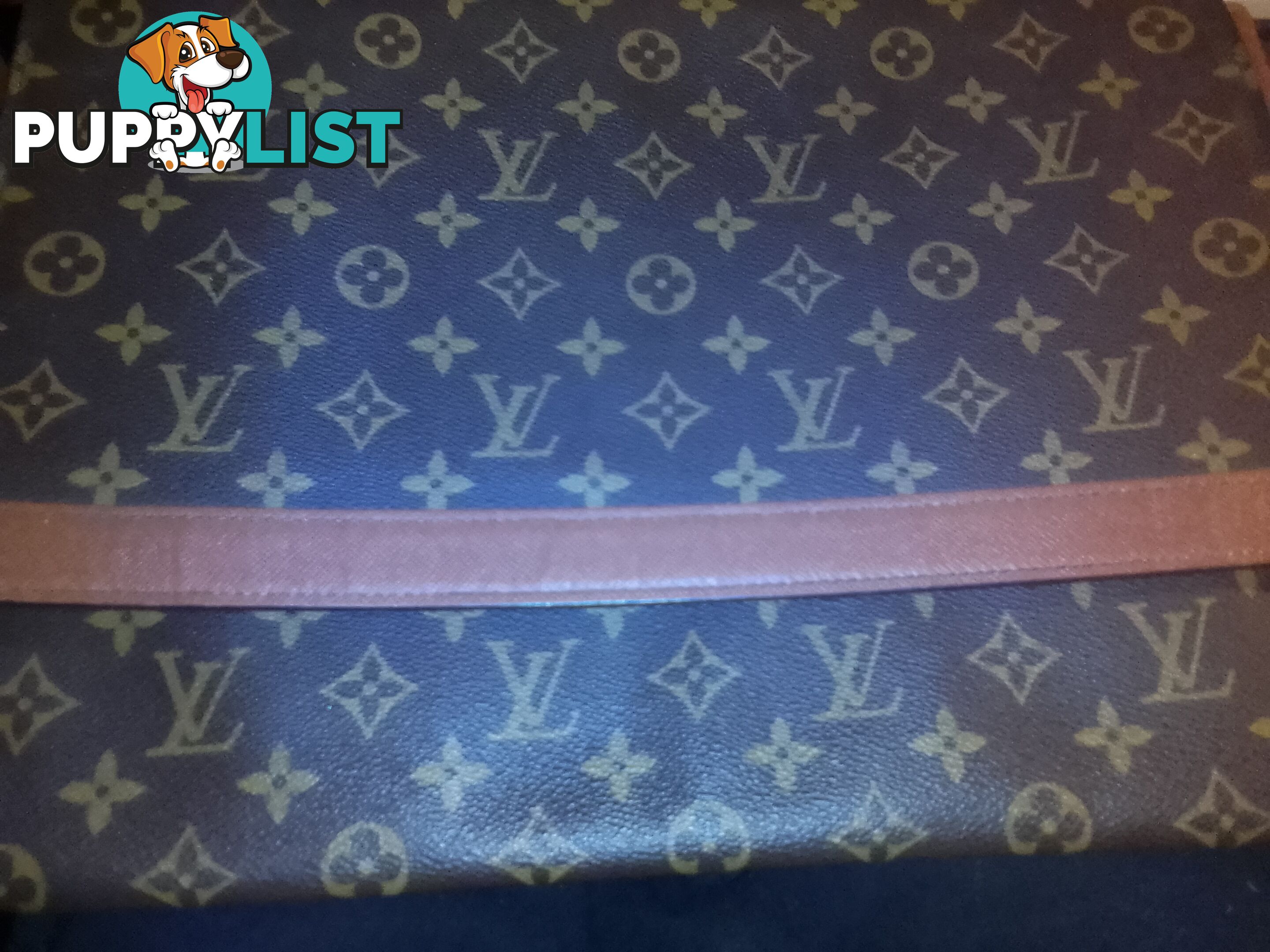 Genuine lui Vuitton book bag