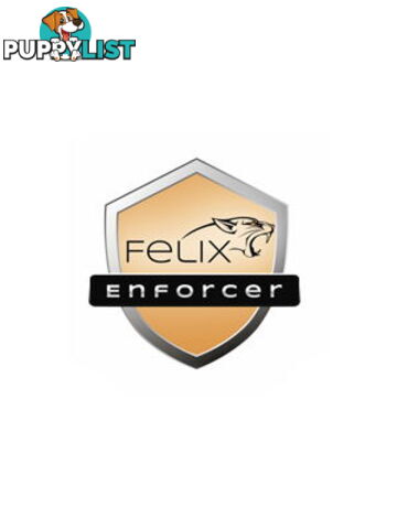 Felix Enforcer Security T1F-EPE01-017-FA Protects Against Malware & Threats, 1 user 1 motnth SUB OEM - Generic - 0021709014860 - T1F-EPE01-017-FA