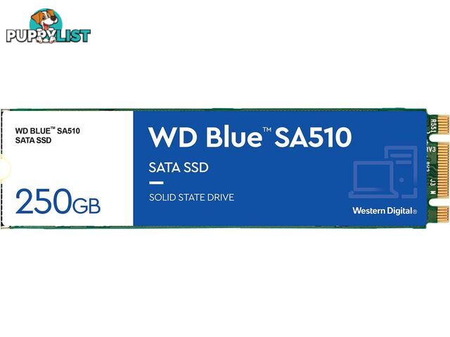 WD WDS250G3B0B Blue SA510 M.2 SATA SSD 250GB - WD - 718037884691 - WDS250G3B0B