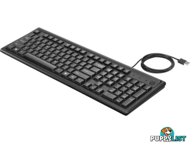 HP 2UN30AA 100 USB Wired Keyboard, Black - HP - 192018069213 - 2UN30AA