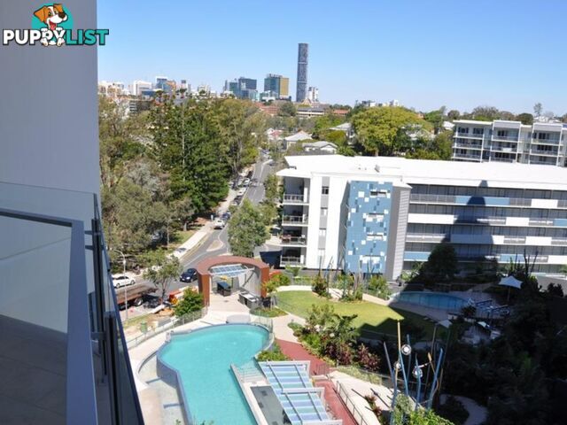 30503 72 Victoria Park Road KELVIN GROVE QLD 4059