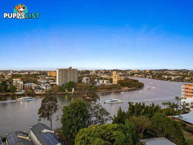 702 20 Castlebar Street Kangaroo Point QLD 4169