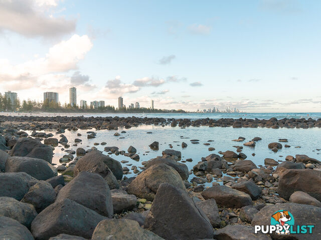 1701 88 The Esplanade Burleigh Heads QLD 4220