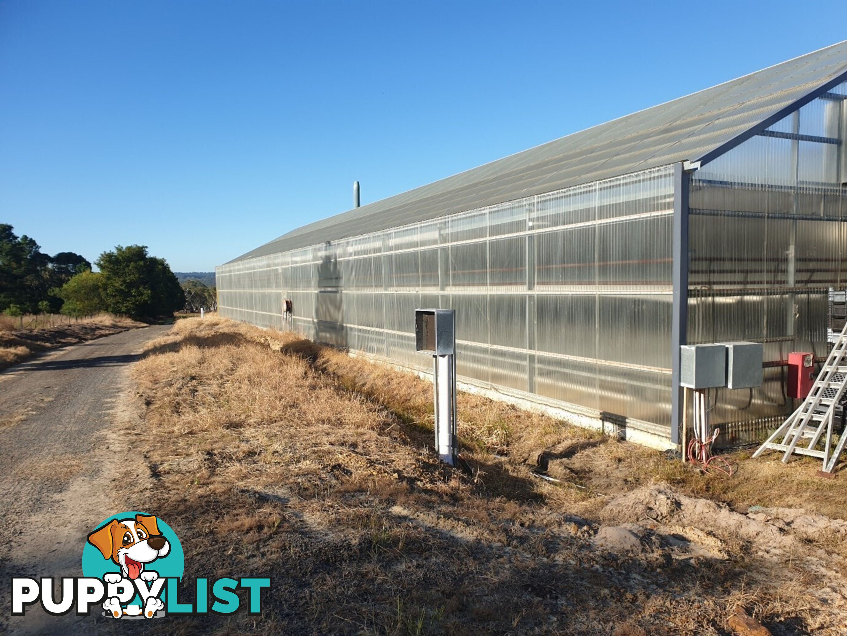 *LEASE* Greenhouse / Hot House