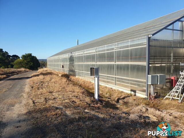 *LEASE* Greenhouse / Hot House