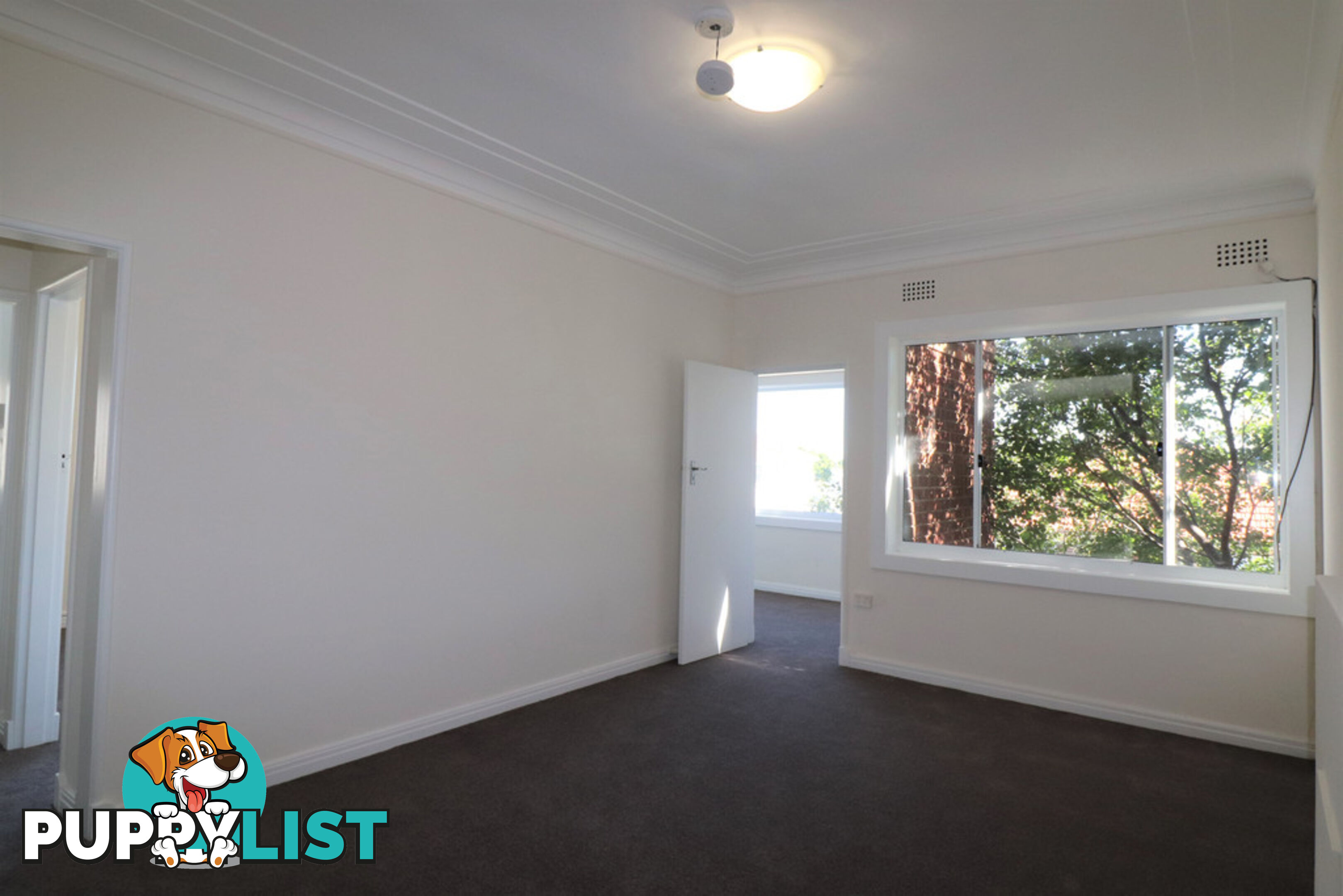 2 & 7/38 Botany Street BONDI JUNCTION NSW 2022