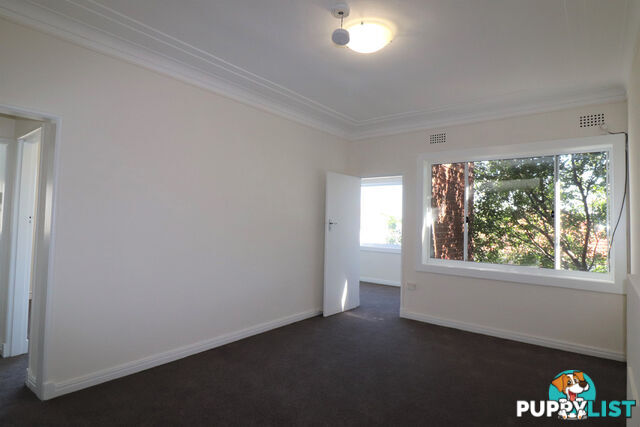 2 & 7/38 Botany Street BONDI JUNCTION NSW 2022