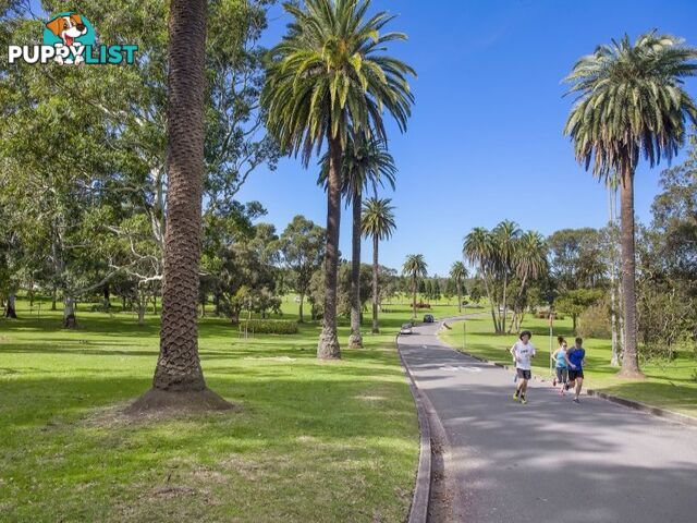 53/77 Cook Road CENTENNIAL PARK NSW 2021