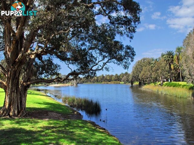 53/77 Cook Road CENTENNIAL PARK NSW 2021