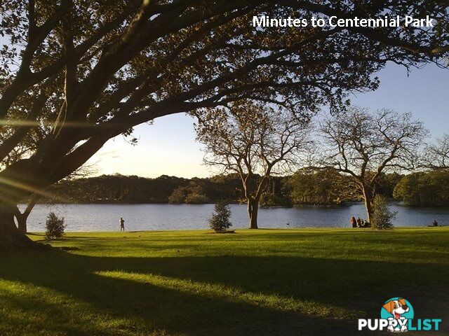 53/77 Cook Road CENTENNIAL PARK NSW 2021