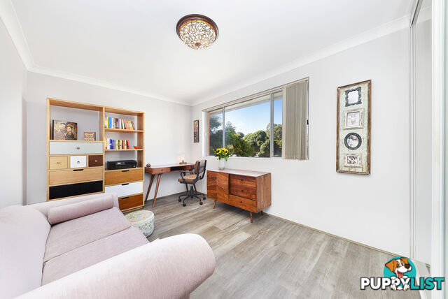 4/64 Howard Street RANDWICK NSW 2031