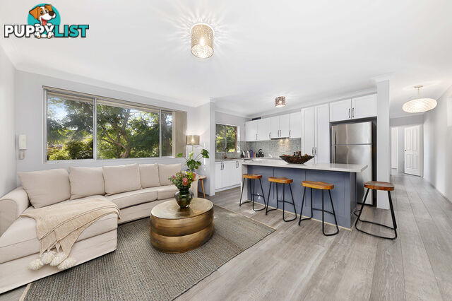4/64 Howard Street RANDWICK NSW 2031