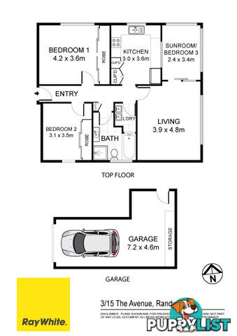 3/15 The Avenue RANDWICK NSW 2031