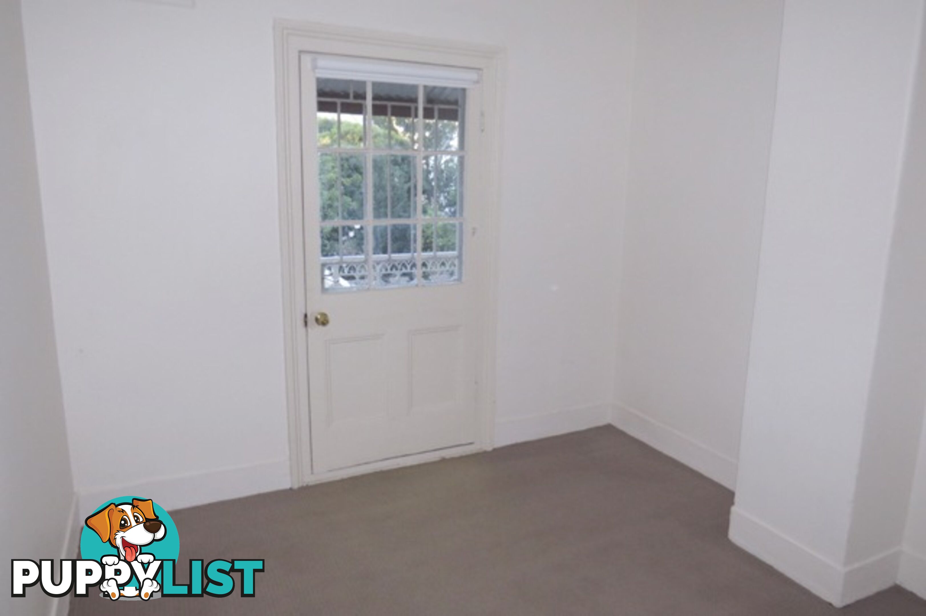 8 Victoria Place PADDINGTON NSW 2021