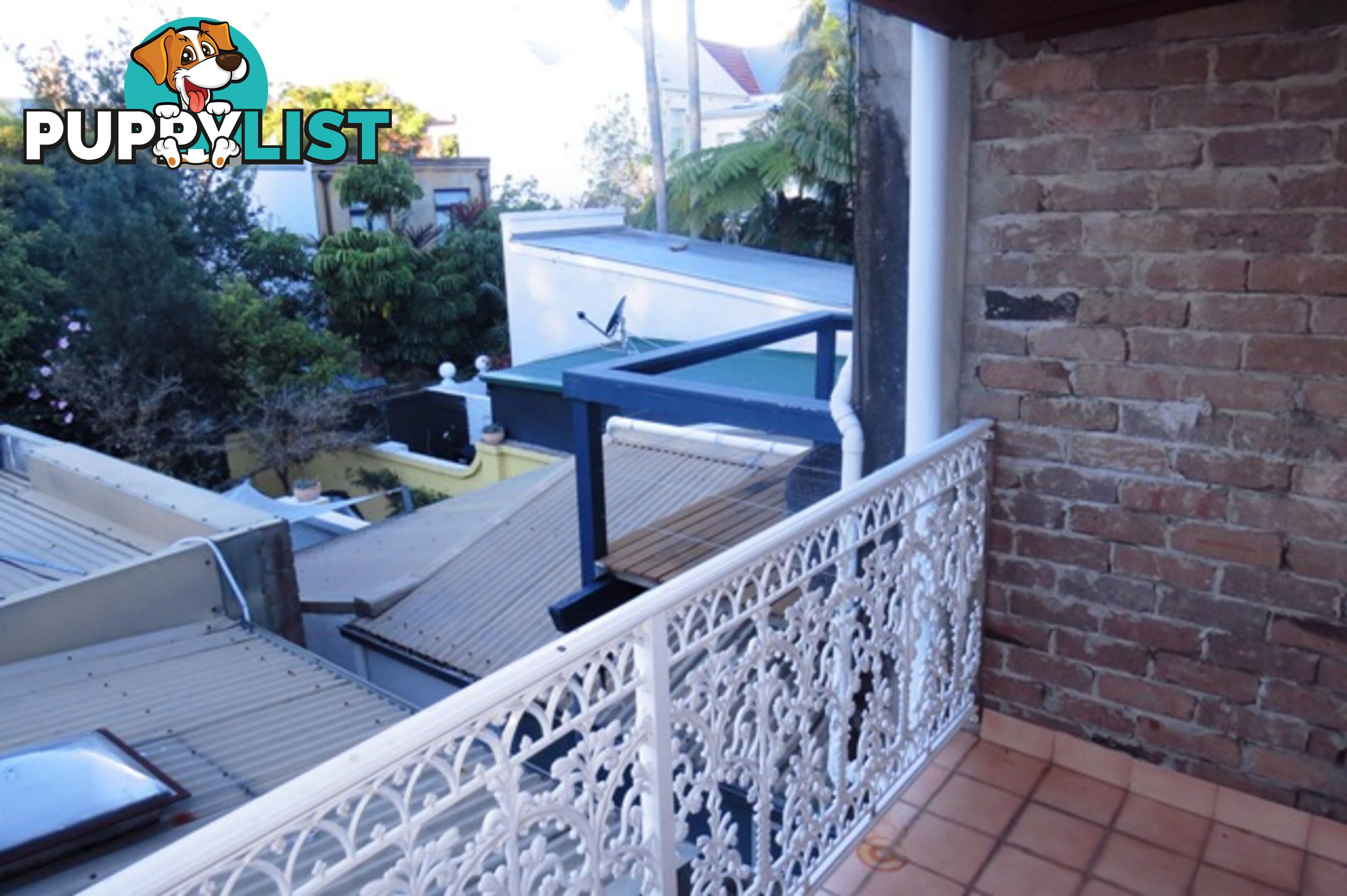 8 Victoria Place PADDINGTON NSW 2021