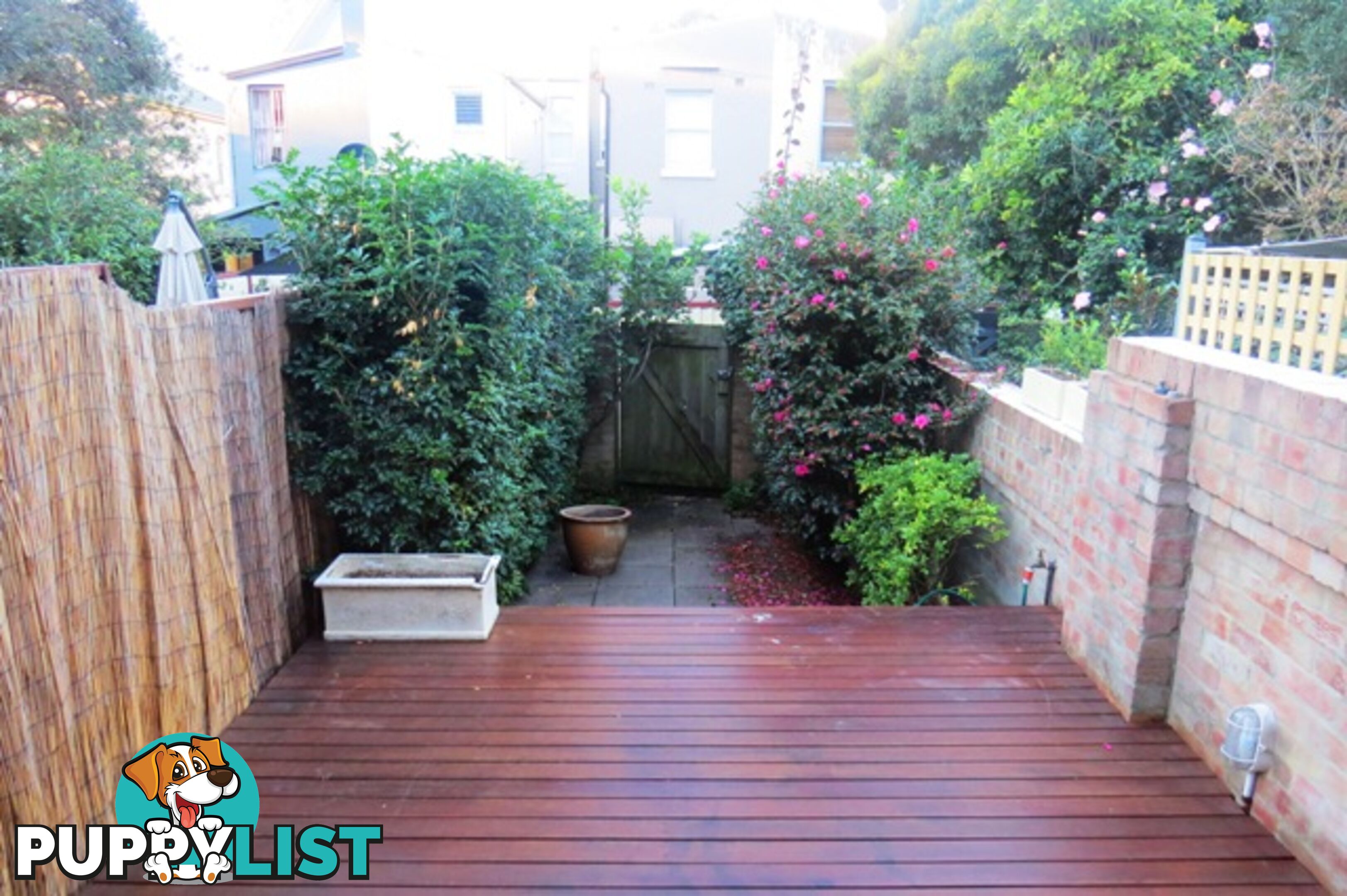 8 Victoria Place PADDINGTON NSW 2021
