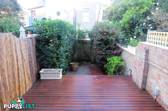8 Victoria Place PADDINGTON NSW 2021