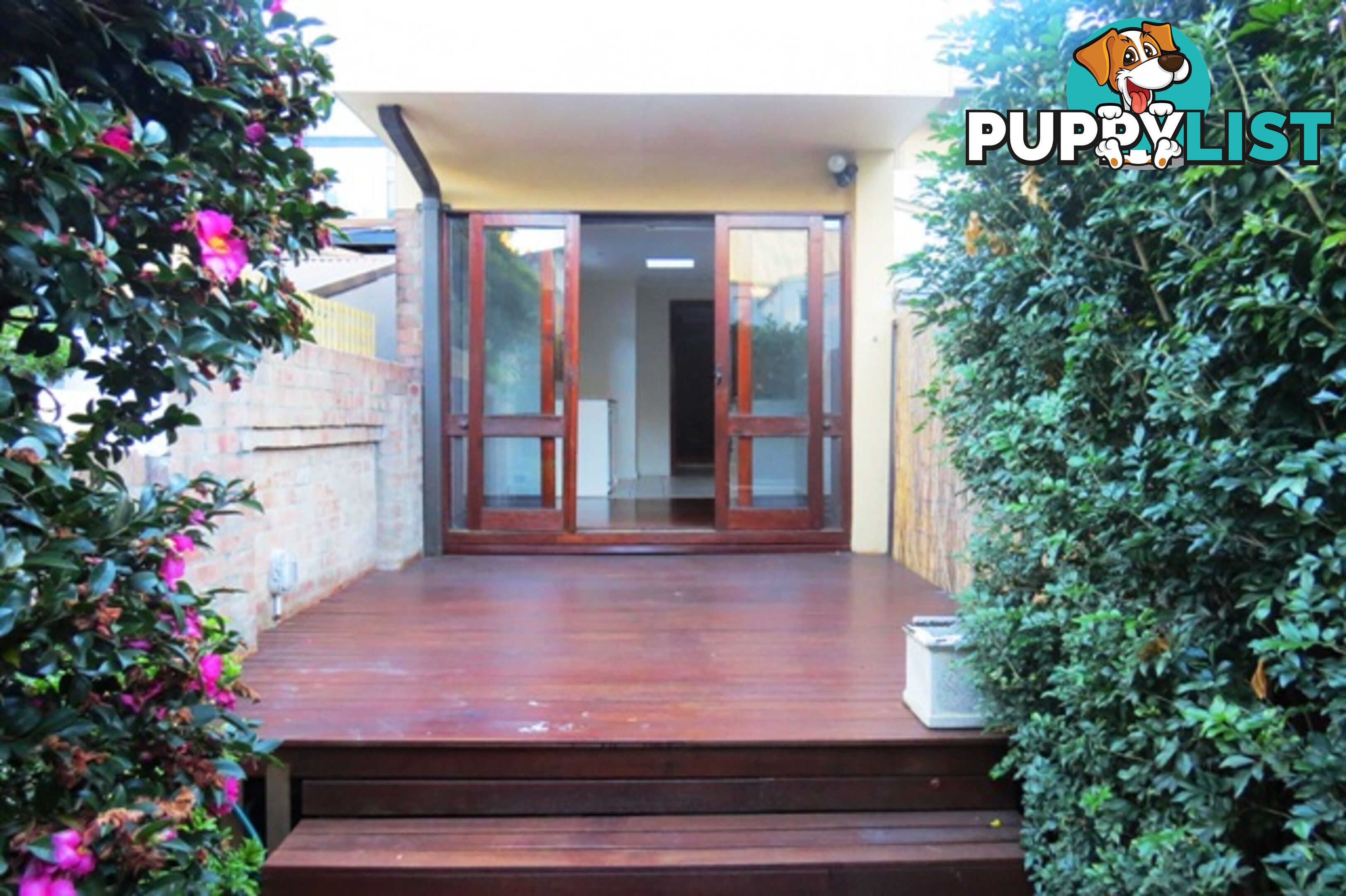 8 Victoria Place PADDINGTON NSW 2021